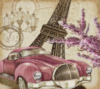 Автомобиль в Париже Flizetto Palmetto 300*270 РАСПРОДАЖА